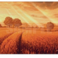 Ultrapro playmat plains edition